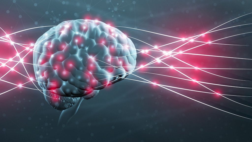 Zdjęcie przedstawia mózg i jego aktywność, którą bada neuroterapia.